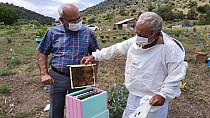 Ana arılar satılabilecek - haberi