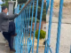 DEMİR KAPIDAN ATLADI