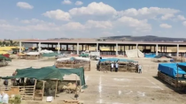 Kurban Pazarı açılıyor - haberi