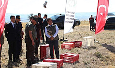 DOĞAYA KEKLİK SALINDI